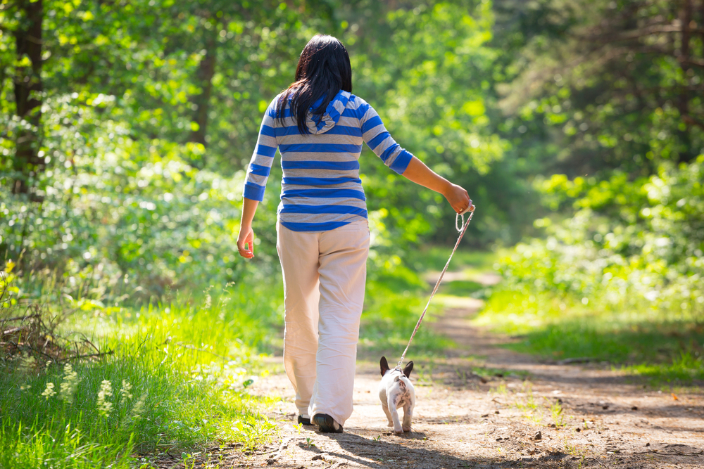 Animals in Distress fun run/walk • AnimalTalk